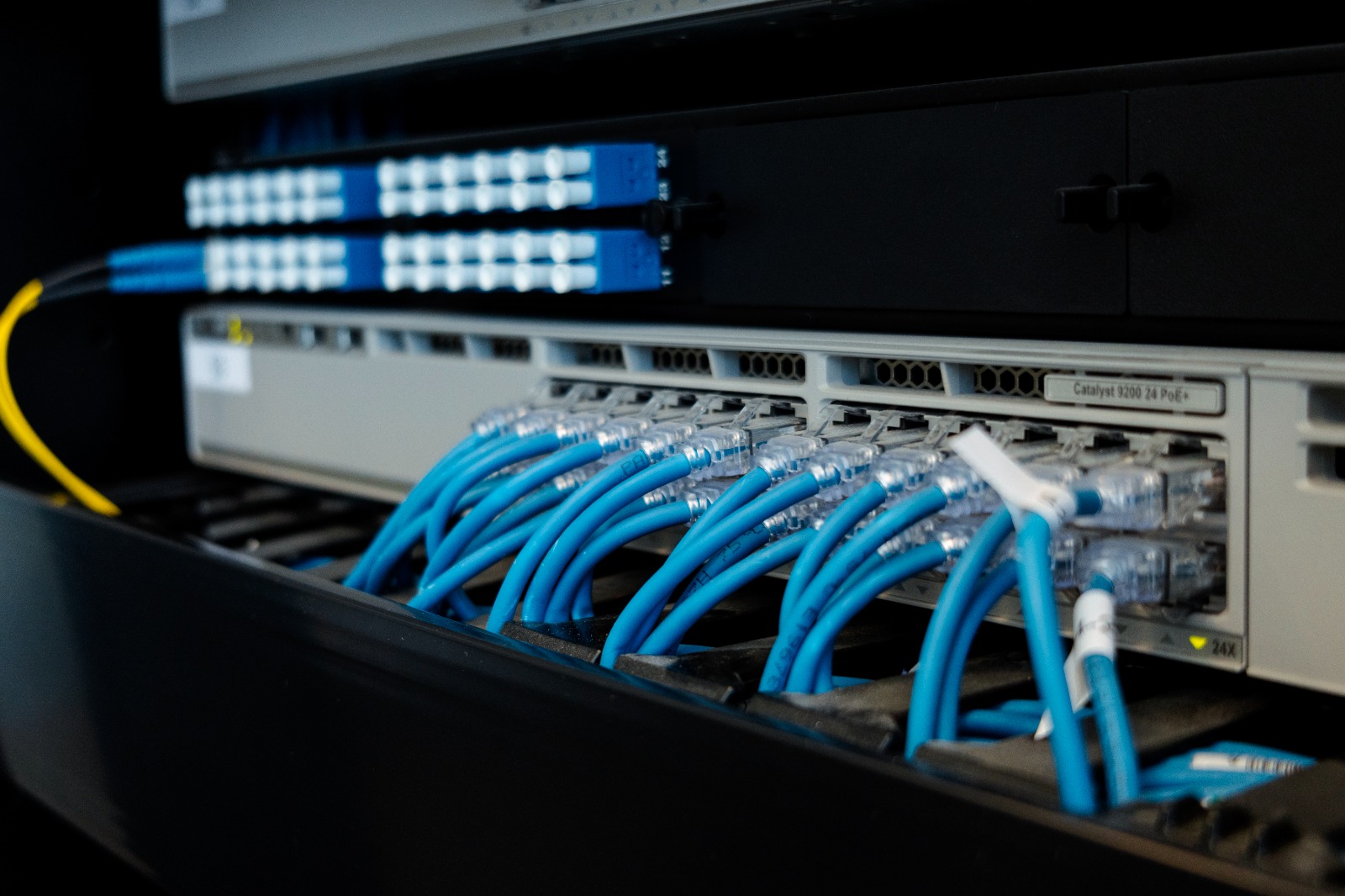 Switch con patch cords